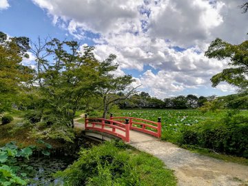 Kyoto Adventures – Daikakuji