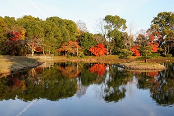 Kyoto Adventures – Arashiyama Daikakuji